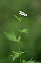 BUITEN BEELD Foto: 445769
