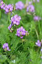 BUITEN BEELD Foto: 445771