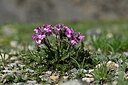 BUITEN BEELD Foto: 445772
