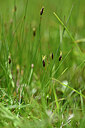 BUITEN BEELD Foto: 445776