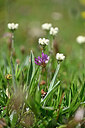 BUITEN BEELD Foto: 445777