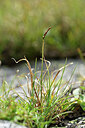 BUITEN BEELD Foto: 445780