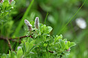 BUITEN BEELD Foto: 445785