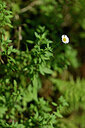 BUITEN BEELD Foto: 445786