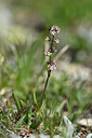BUITEN BEELD Foto: 445789