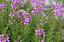 BUITEN BEELD Foto: 445791