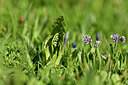 BUITEN BEELD Foto: 445792