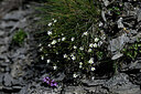 BUITEN BEELD Foto: 445793