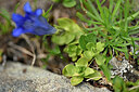 BUITEN BEELD Foto: 445797
