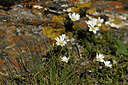 BUITEN BEELD Foto: 445798