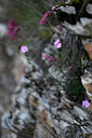 BUITEN BEELD Foto: 445799