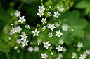 BUITEN BEELD Foto: 445800