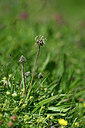 BUITEN BEELD Foto: 445804