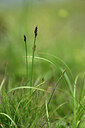 BUITEN BEELD Foto: 445810