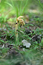 BUITEN BEELD Foto: 445812