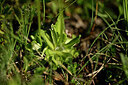 BUITEN BEELD Foto: 445814