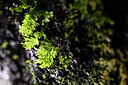 BUITEN BEELD Foto: 445818