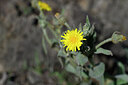 BUITEN BEELD Foto: 445819