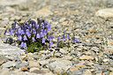 BUITEN BEELD Foto: 445823