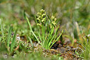 BUITEN BEELD Foto: 445825