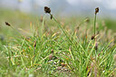 BUITEN BEELD Foto: 445826