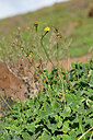 BUITEN BEELD Foto: 445827