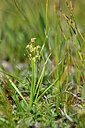 BUITEN BEELD Foto: 445834