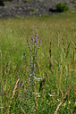 BUITEN BEELD Foto: 445841