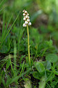 BUITEN BEELD Foto: 445844
