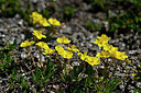BUITEN BEELD Foto: 445849