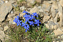 BUITEN BEELD Foto: 445850