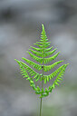 BUITEN BEELD Foto: 445851