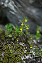 BUITEN BEELD Foto: 445854
