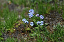 BUITEN BEELD Foto: 445856