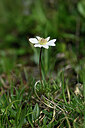 BUITEN BEELD Foto: 445858