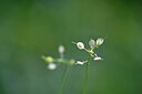 BUITEN BEELD Foto: 445861