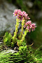 BUITEN BEELD Foto: 445863