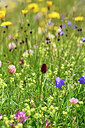 BUITEN BEELD Foto: 445864