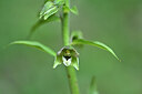 BUITEN BEELD Foto: 445867