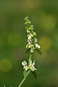 BUITEN BEELD Foto: 445869