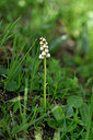 BUITEN BEELD Foto: 445870
