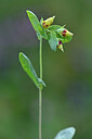 BUITEN BEELD Foto: 445874
