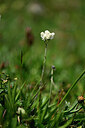 BUITEN BEELD Foto: 445876