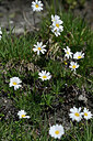 BUITEN BEELD Foto: 445880