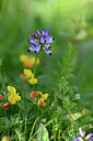 BUITEN BEELD Foto: 445881