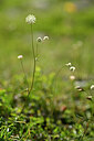 BUITEN BEELD Foto: 445883