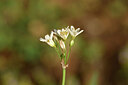 BUITEN BEELD Foto: 445886