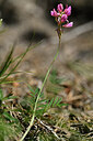 BUITEN BEELD Foto: 445888
