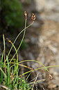BUITEN BEELD Foto: 445893