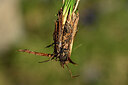 BUITEN BEELD Foto: 445896